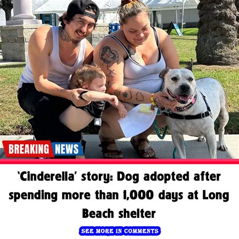 ‘Cinderella’ story: Dog adopted after spending more than 1,000 days at Long Beach shelter